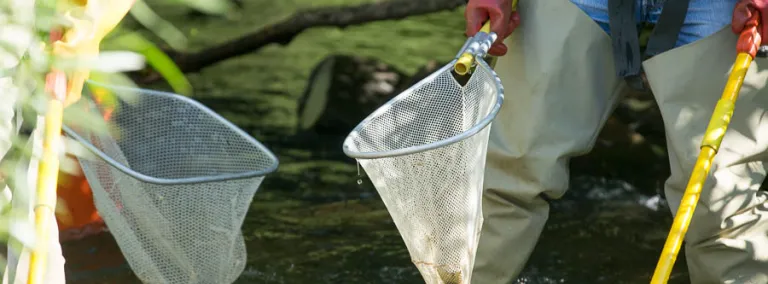 Sanford Lab counts fish in the stream