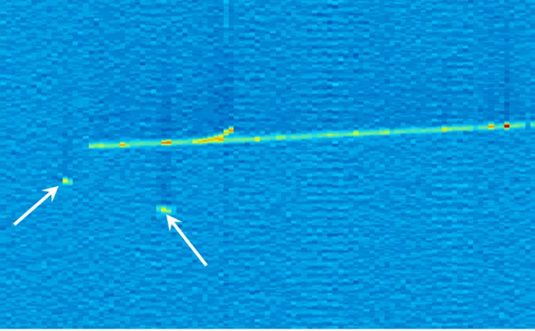 Display shows trail of high-energy particle in liquid argon.